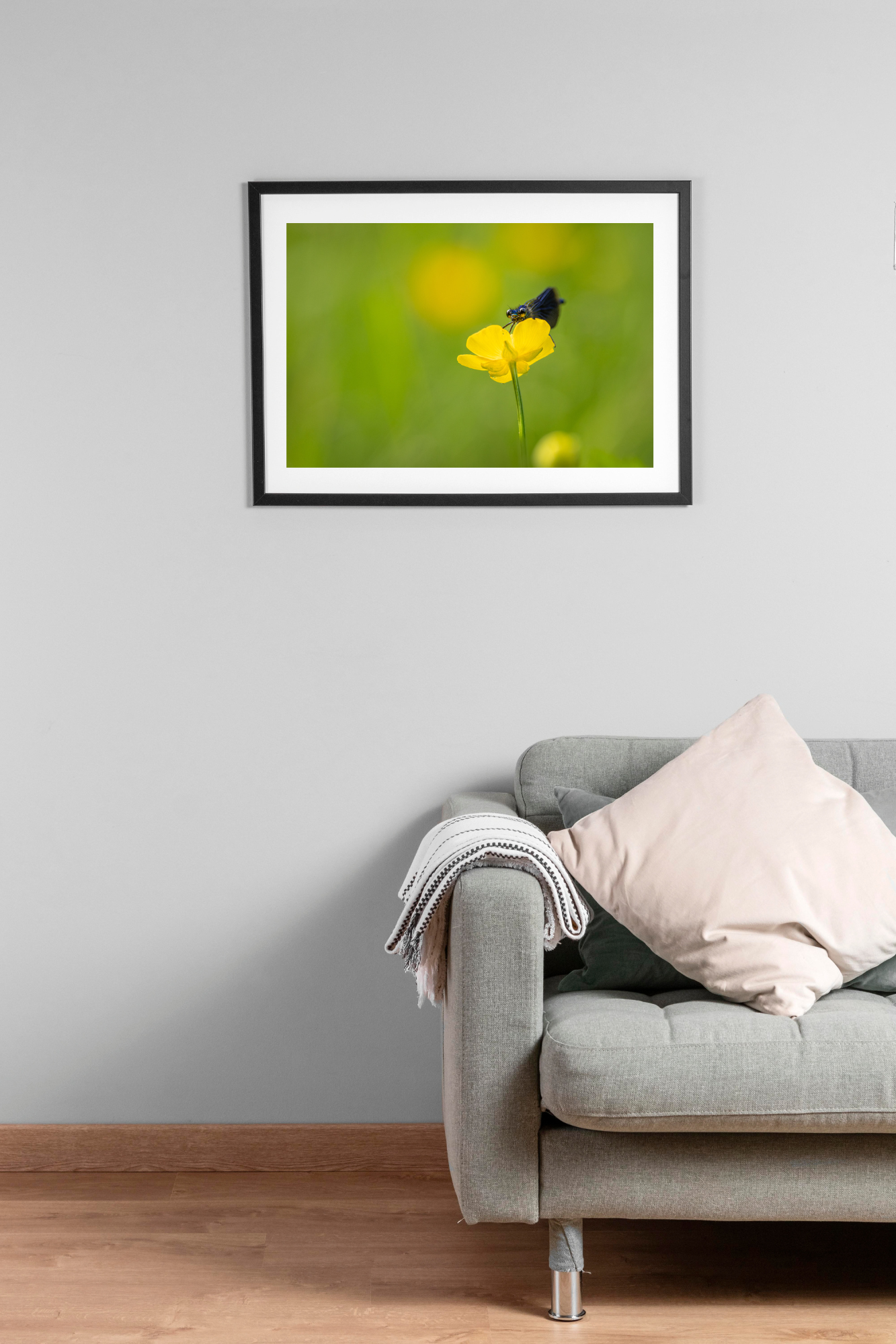 La belle demoiselle