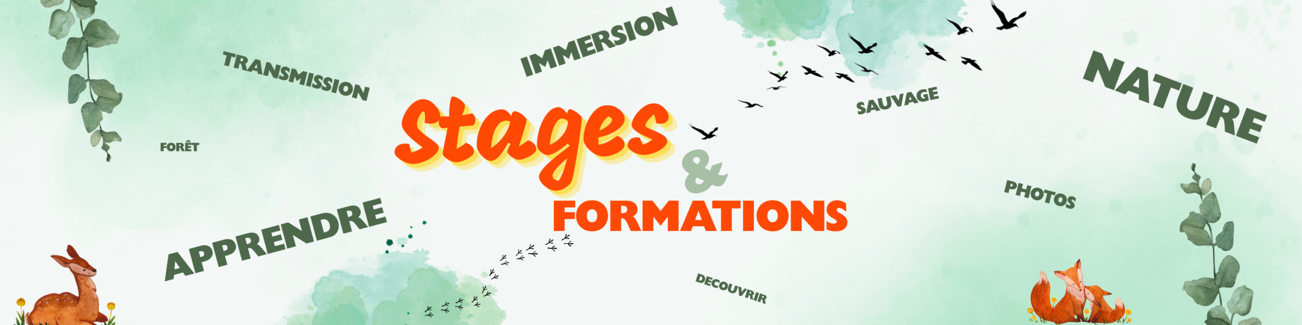 STAGES & FORMATIONS