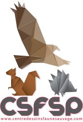 d3b23c_12ba5e9694ce40e1863badb478cea098~mv2